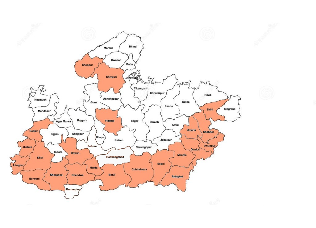 photo 2025 02 21 10 25 31